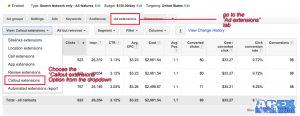 AdWords Management - Callouts